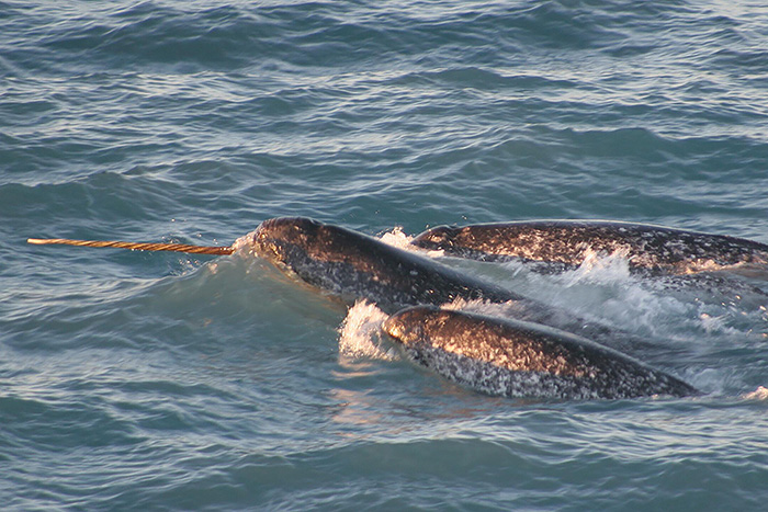 Most sensitive tooth